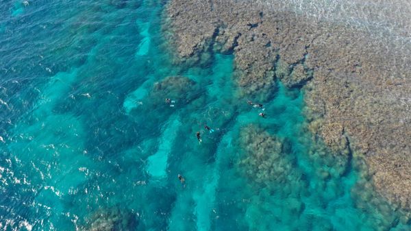 日本「石垣島　小浜島」の写真