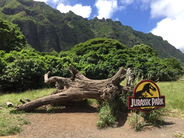 アメリカ(米国)・クアロアランチ「2019 ワイキキビーチ改修前❗️オアフ島家族旅行」の写真：この日は朝からクアロアランチへ。 映画の...