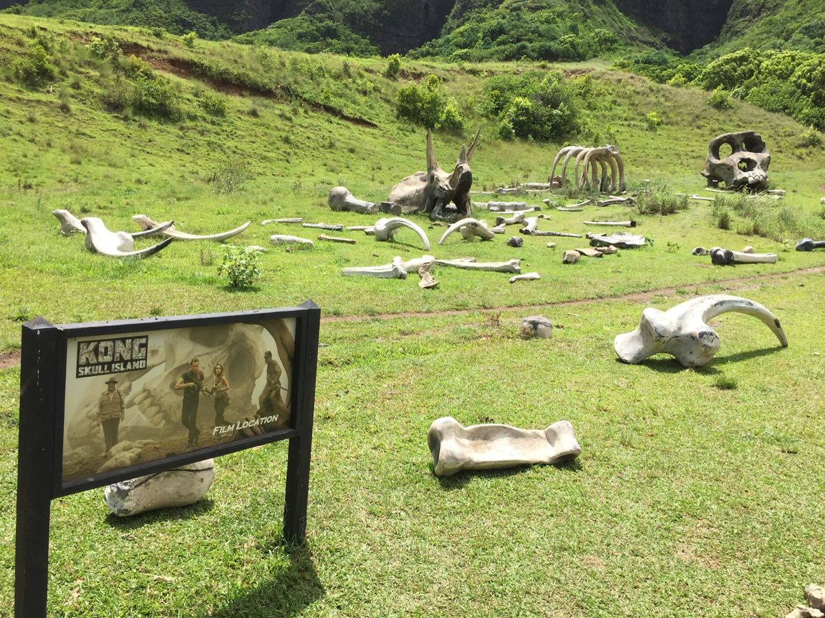 この日は朝からクアロアランチへ。 映画のロケ地として有名な場所で子供達も楽...