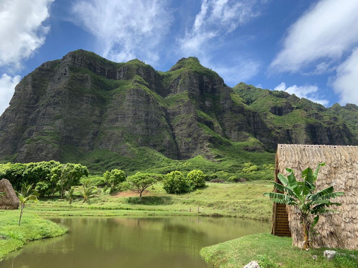この日は朝からクアロアランチへ。 映画のロケ地として有名な場所で子供達も楽...