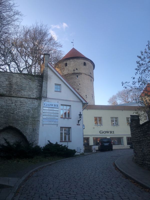 エストニア・タリン「1人旅　エストニア」の写真：フィンランド旅行で足を伸ばしてエストニア...