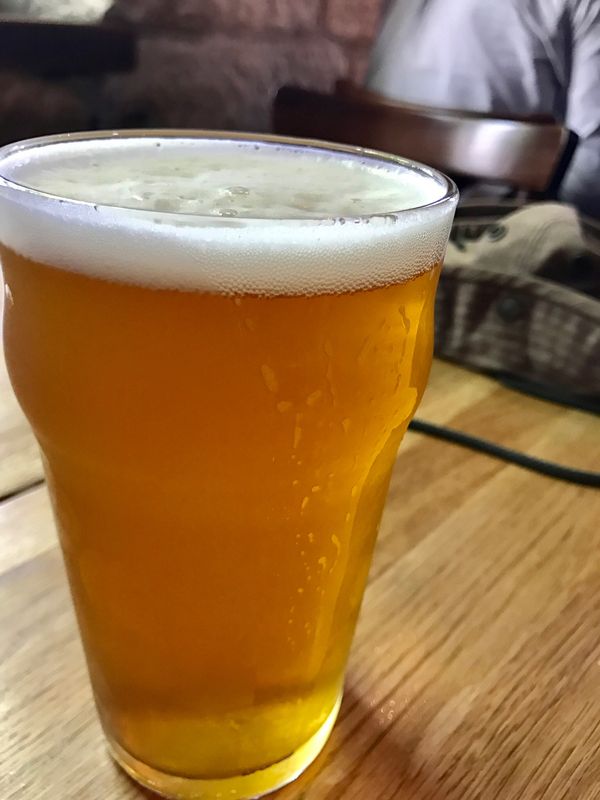 オーストラリア連邦・シドニー、ウルル「娘学校視察の旅」の写真：だいぶ歩いた後のビールは美味しい。
料...