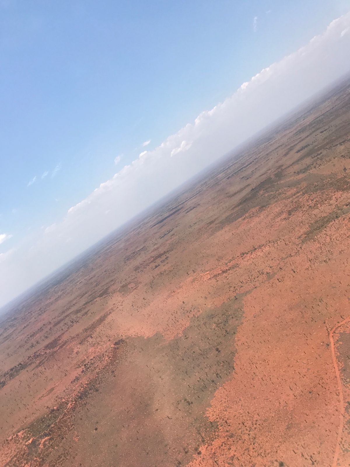 シドニーを離れ、いよいよ向かったよアウトバックの赤い大地。
エアーズロッ...