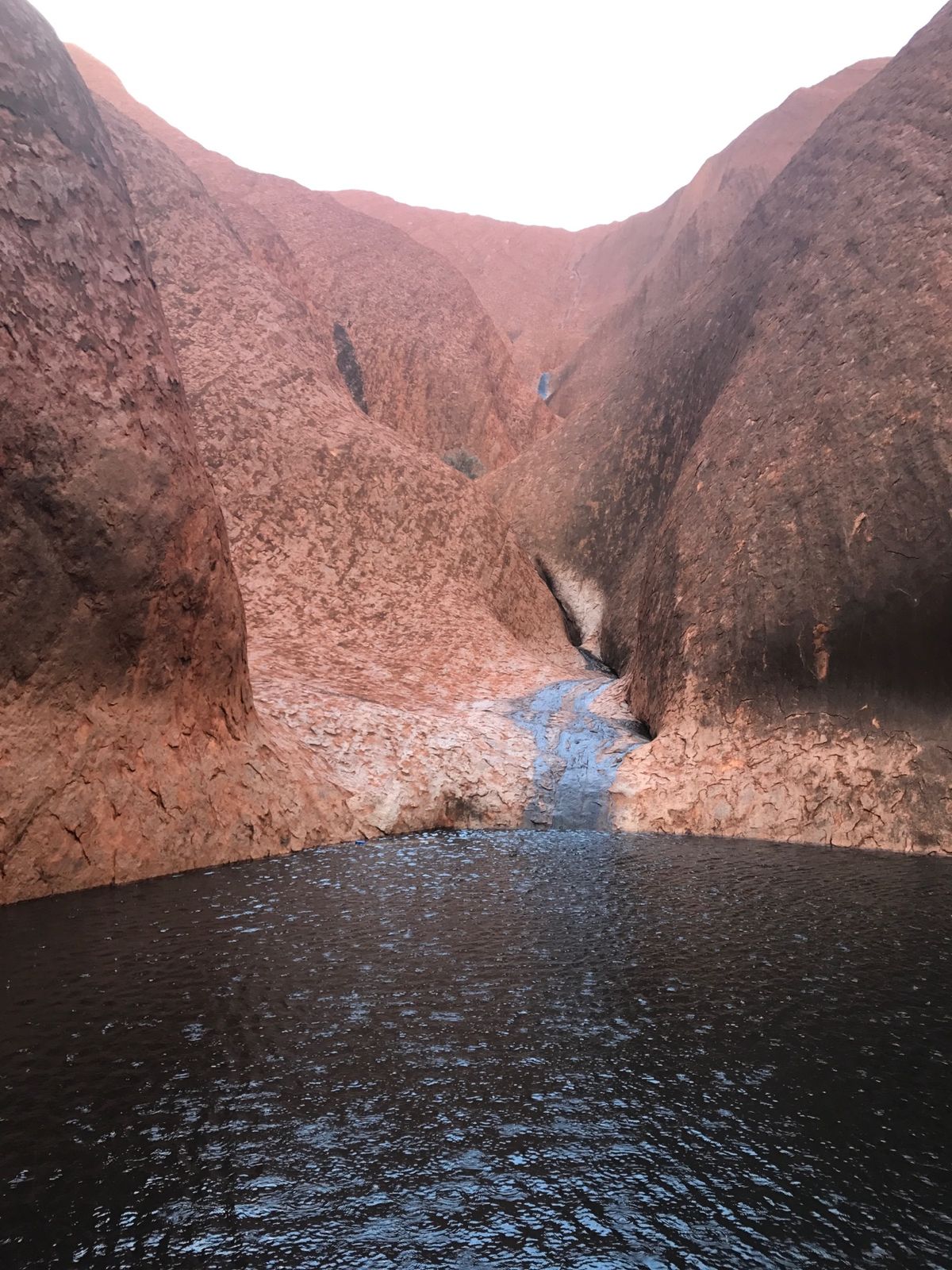 ウルル周辺散策。
徒歩でしか行けない撮影禁止の場所にも行けたのは、行った...