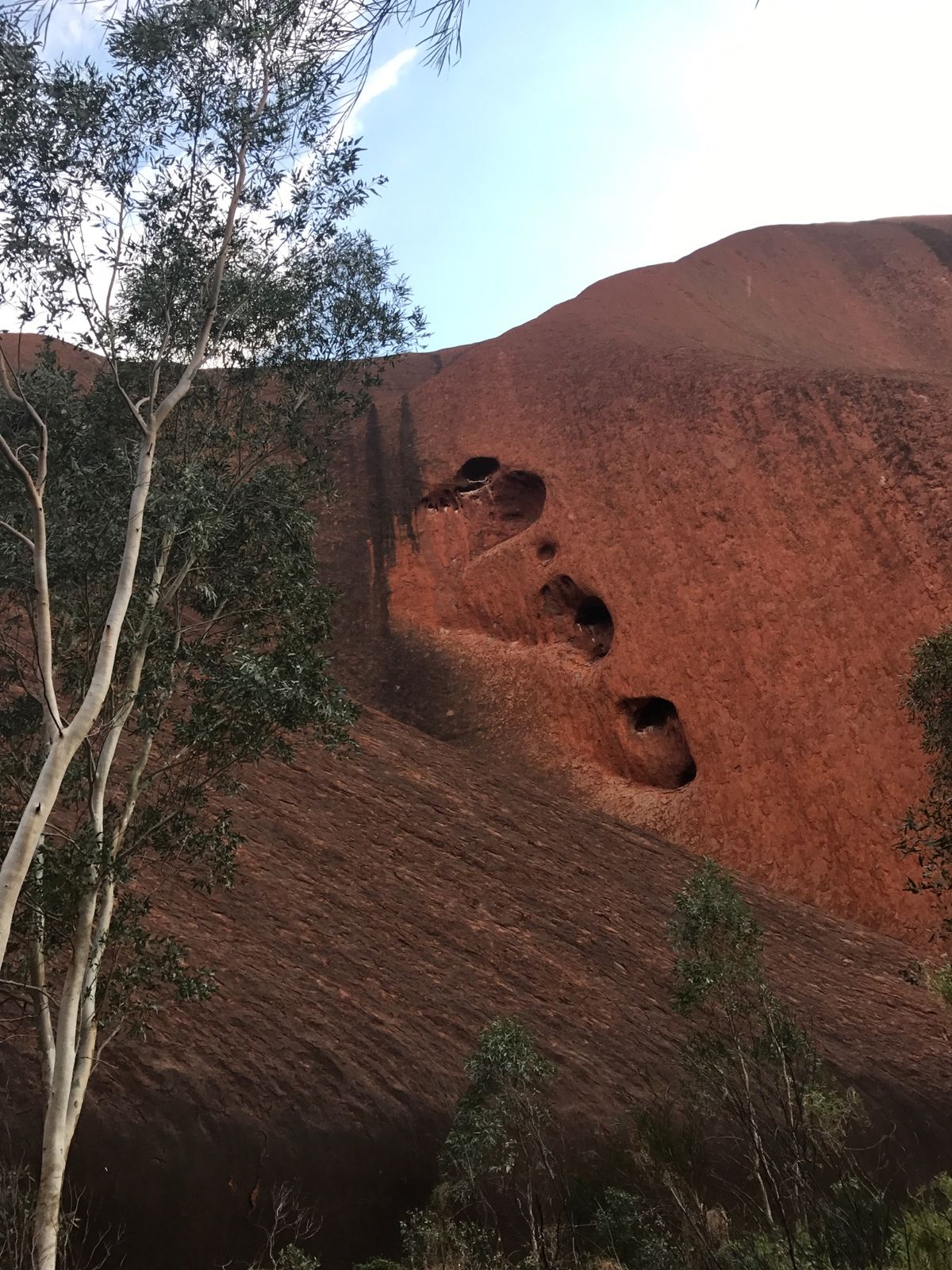 ウルル周辺散策。
徒歩でしか行けない撮影禁止の場所にも行けたのは、行った...