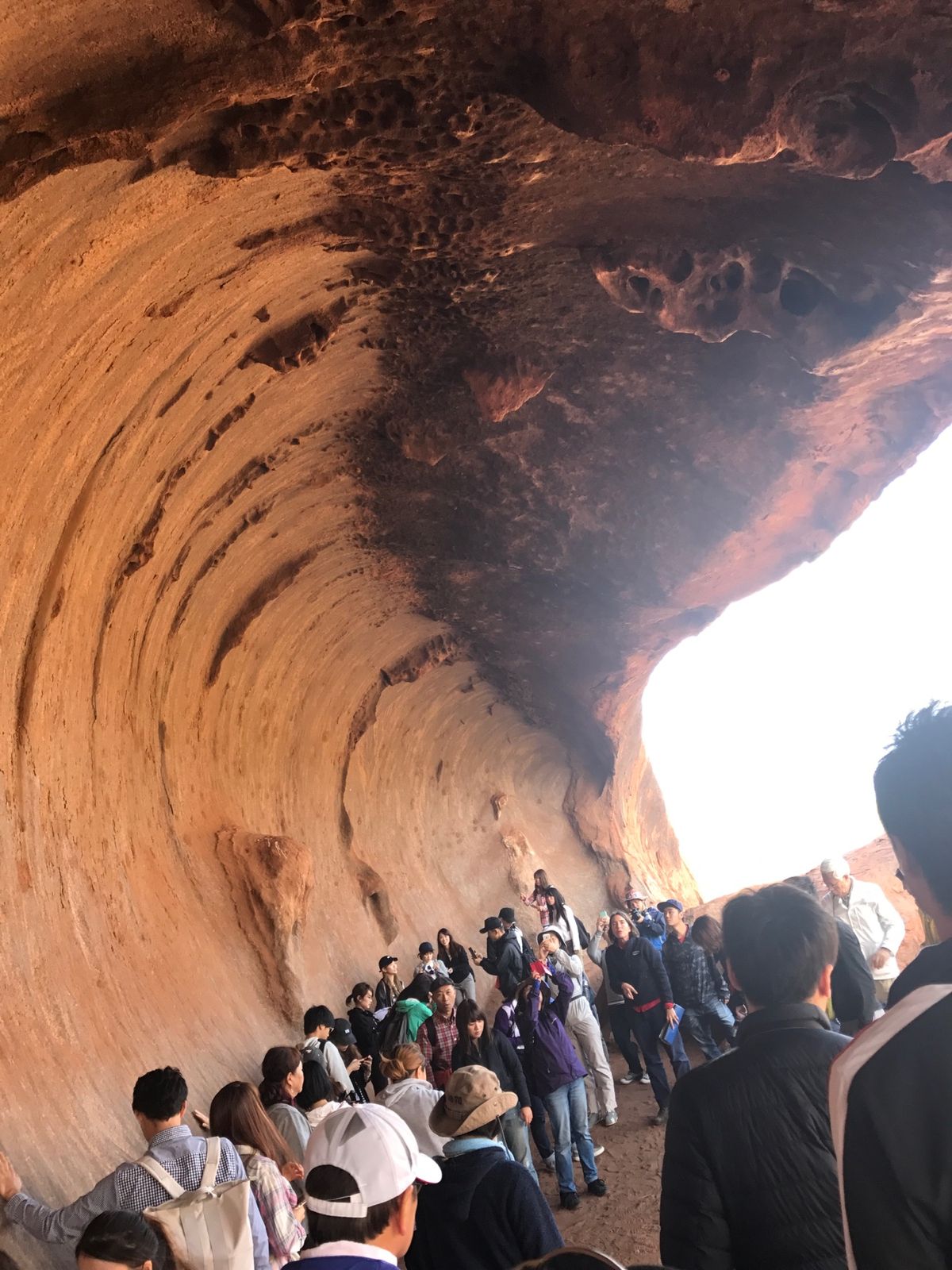 ウルル周辺散策。
徒歩でしか行けない撮影禁止の場所にも行けたのは、行った...