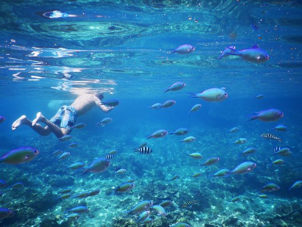 フィリピン・PuertoPrincesa「弾丸フィリピン旅」の写真：エルニドのアイランドホッピングに2日間参...