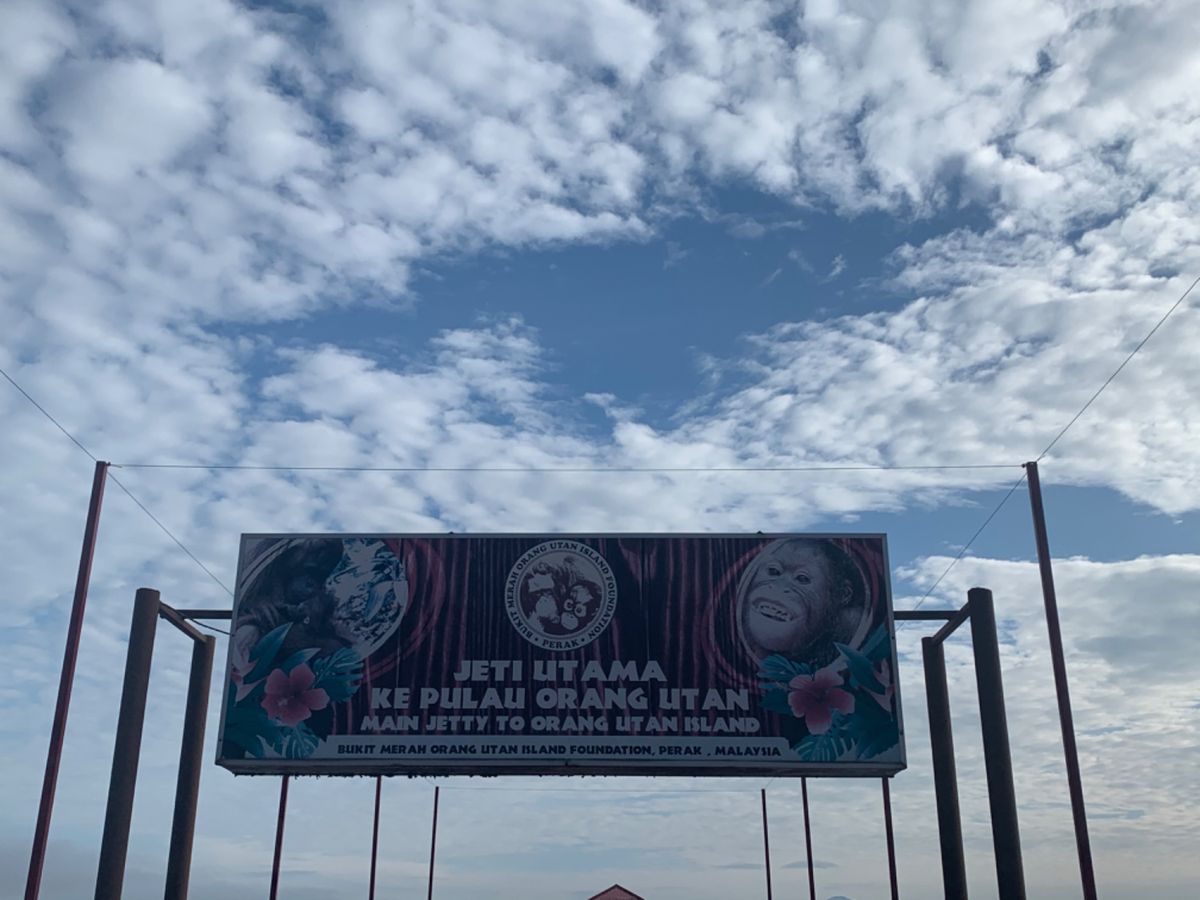 オランウータンサンクチュアリまでは桟橋を渡りボートに乗って約10分。