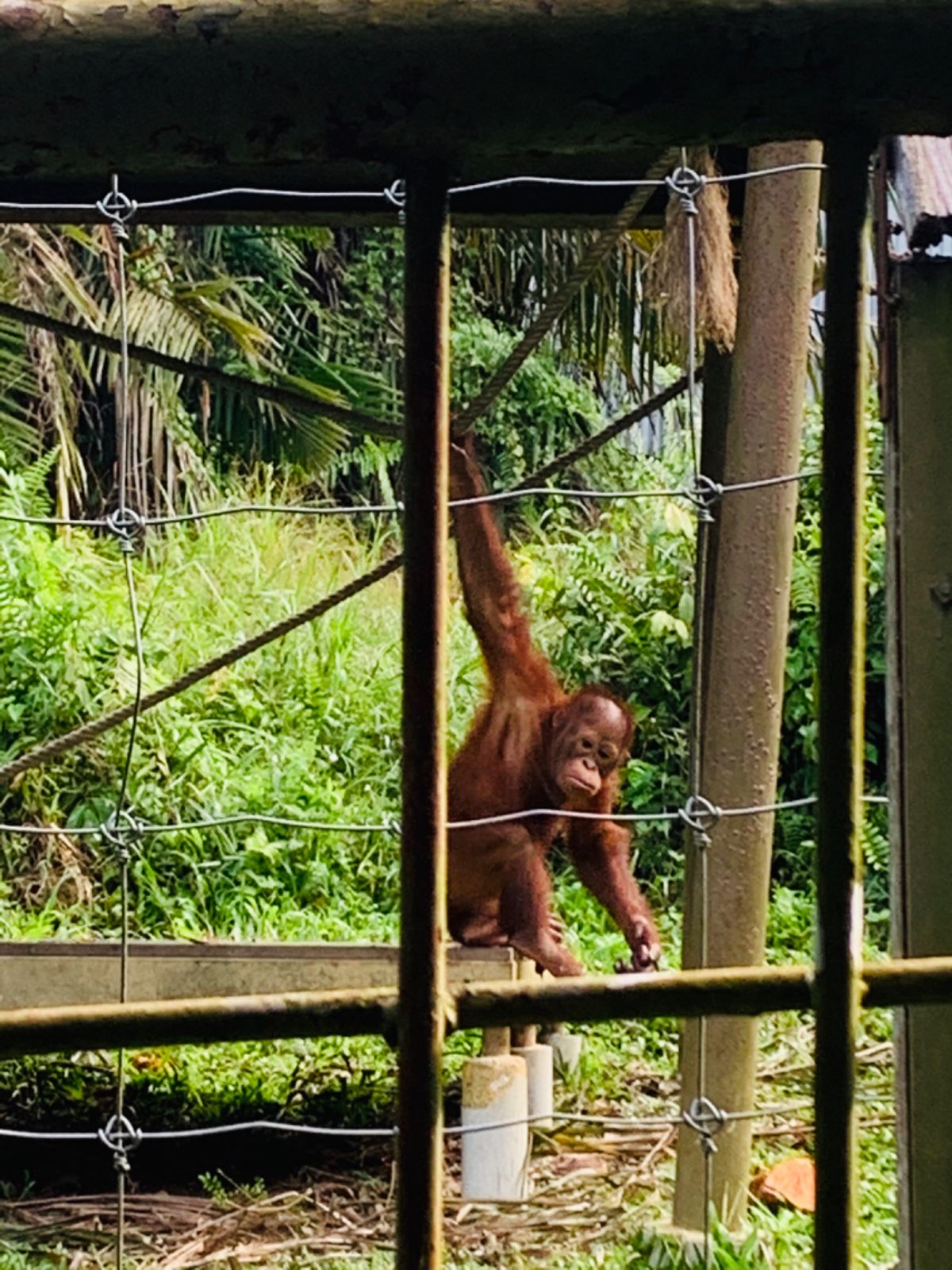 みんな愛くるしい♡