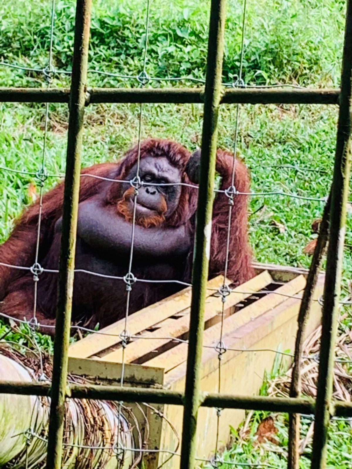 みんな愛くるしい♡