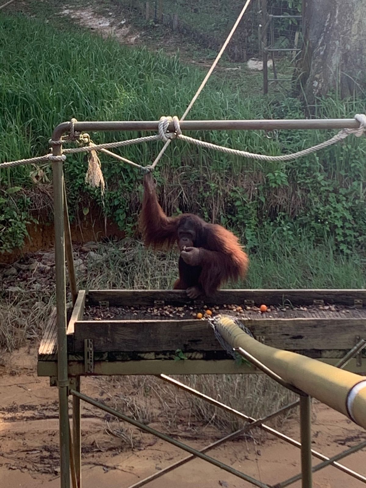 みんな愛くるしい♡