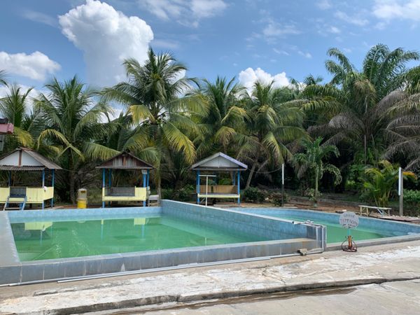 マレーシア・ブキッメラ・オランウータンサンクチュアリ・「オランウータンとマレーシア温泉旅」の写真:初めてのマレーシア温泉♨️