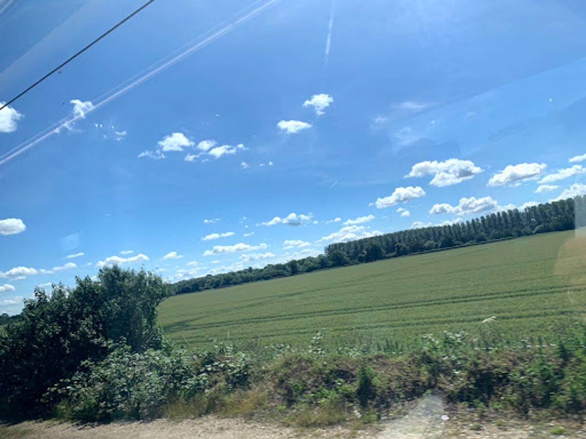 ロンドン(パディントン駅)から特急で2時間ほど。
エクセターを目指します...