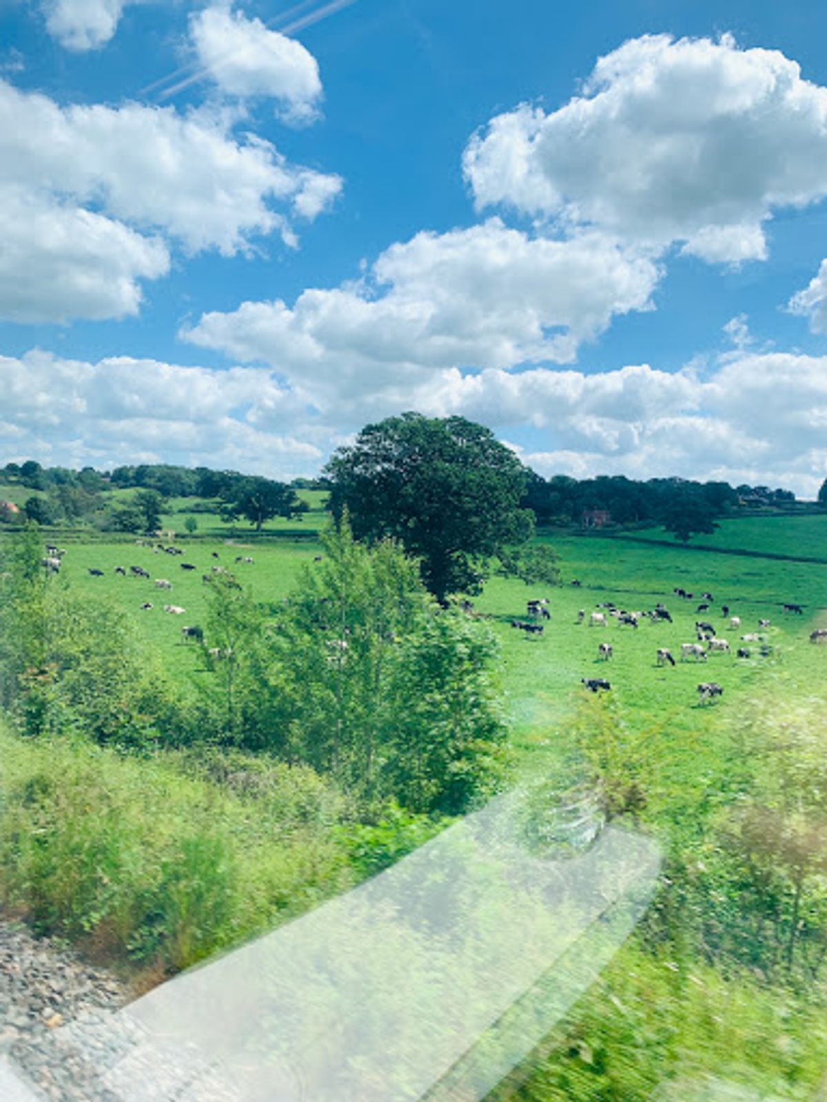 ロンドン(パディントン駅)から特急で2時間ほど。
エクセターを目指します...