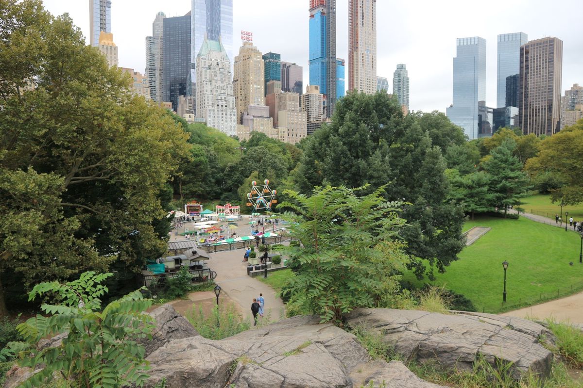 3日目は朝食にベーグル🥯を食べて、自転車🚲でセントラルパークをお散歩。
野...
