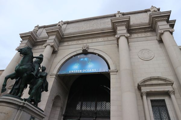 アメリカ(米国)・ニューヨーク「ニューヨーク旅行」の写真：4日目の午前は、大好きな映画「ナイトミュ...