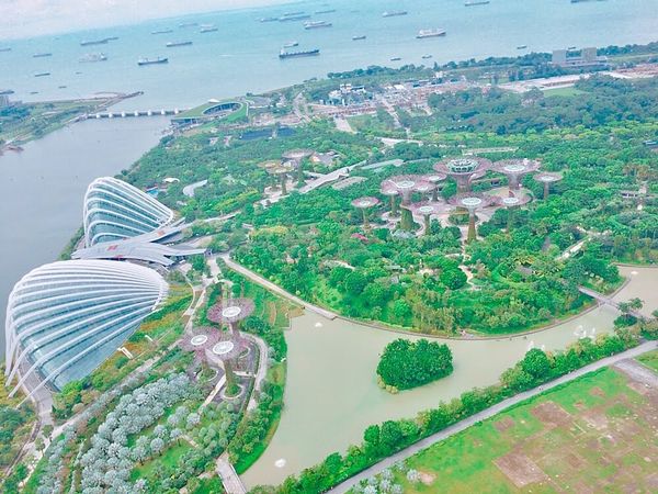 シンガポール・シンガポール「シンガポール」の写真：マリーナベイサンズの展望台🌟