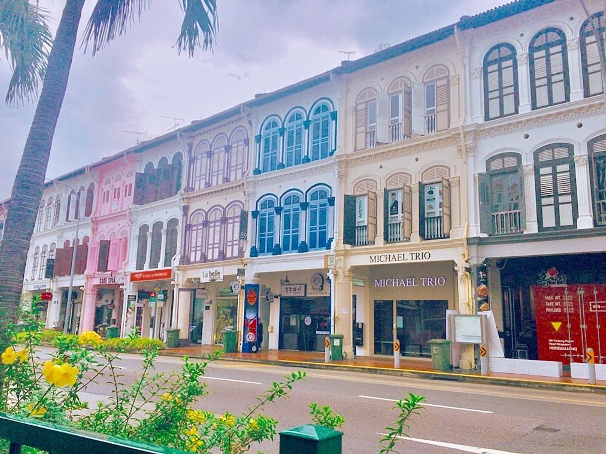 意外にもブタちゃんがめっちゃ美味しかったやつ…