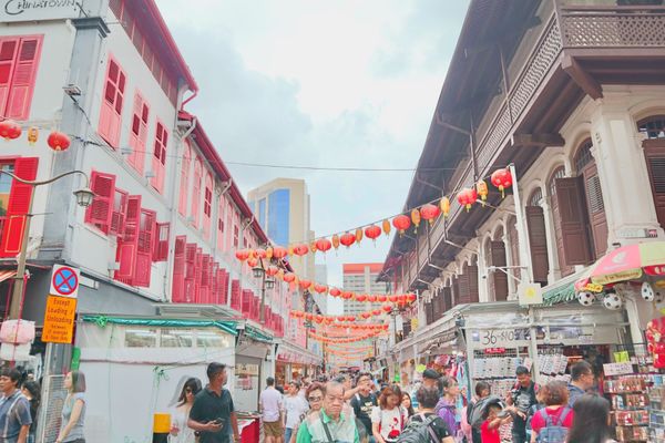 シンガポール・シンガポール「シンガポール」の写真：LUNCH