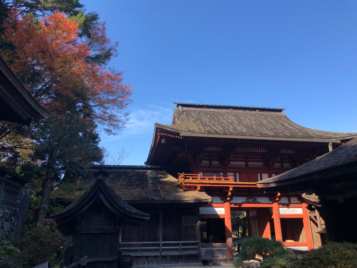 金峯山寺本堂ではご本尊の蔵王権現を特別にご開帳。吉水神社や吉野水分神社にも...