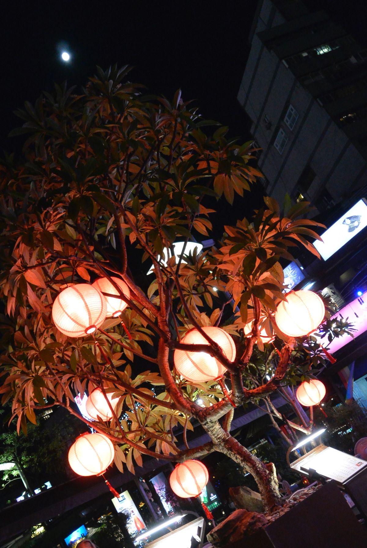 西門散策。杏仁カキ氷を食べて紅楼と廟を拝み、スーパーで買い物して帰路に。