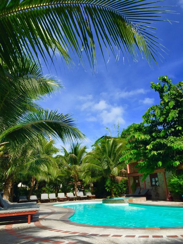 タイ・サムイ島「タイ」の写真