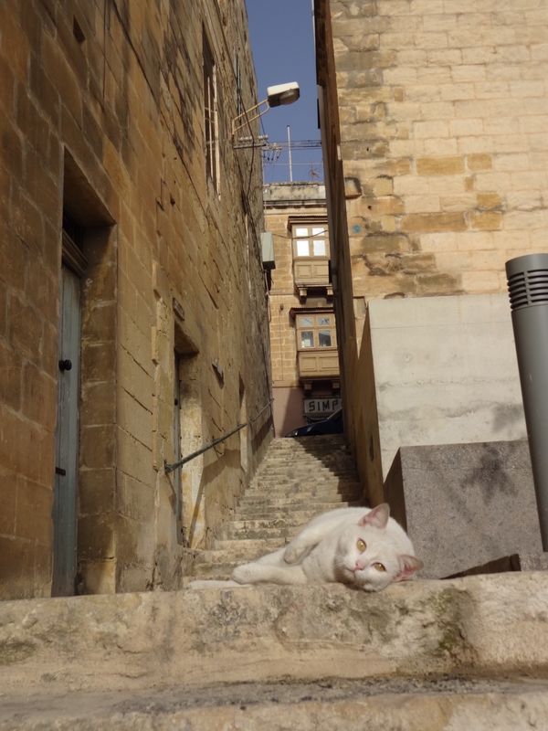 マルタ・ブルーラグーン「マルタ旅行」の写真