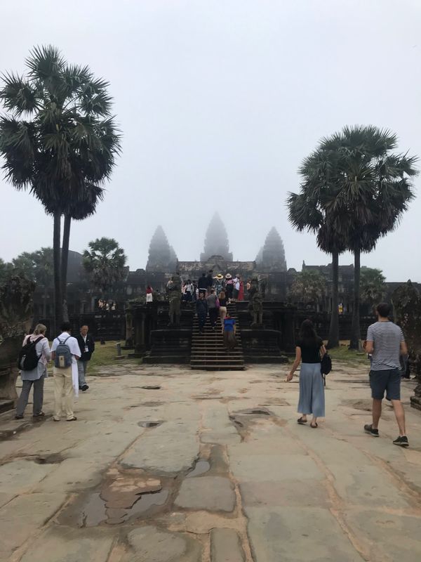 カンボジア・アンコールワット「カンボジアtrip」の写真：アンコール・ワットサンライズや遺跡見学メ...