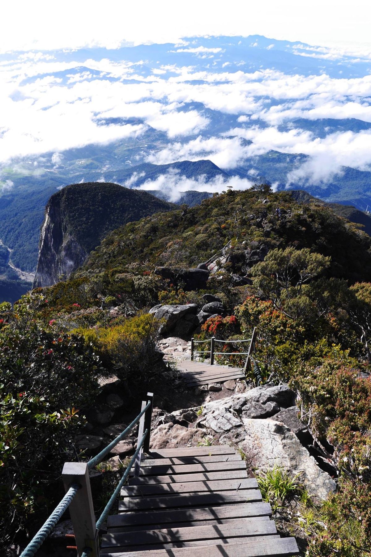 標高4000m越のキナバル山登山。小屋で一泊して、暗いうちから頂上を目指す...