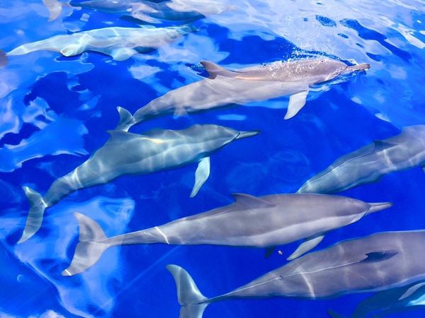 アメリカ(米国)「GUAM」の写真