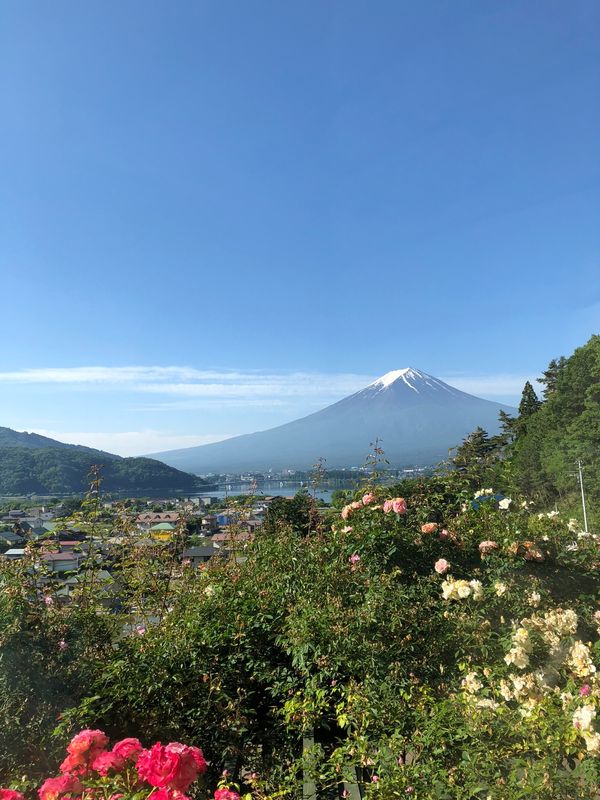 日本・河口湖「河口湖」の写真：山頂が綺麗に見えた☀️
梅雨の合間に貴重...