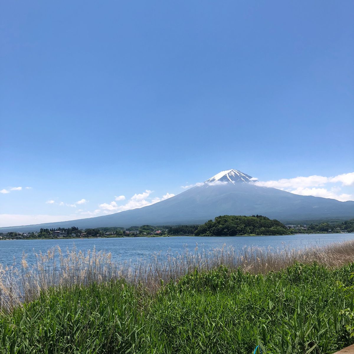山頂が綺麗に見えた☀️
梅雨の合間に貴重！
最高☺️