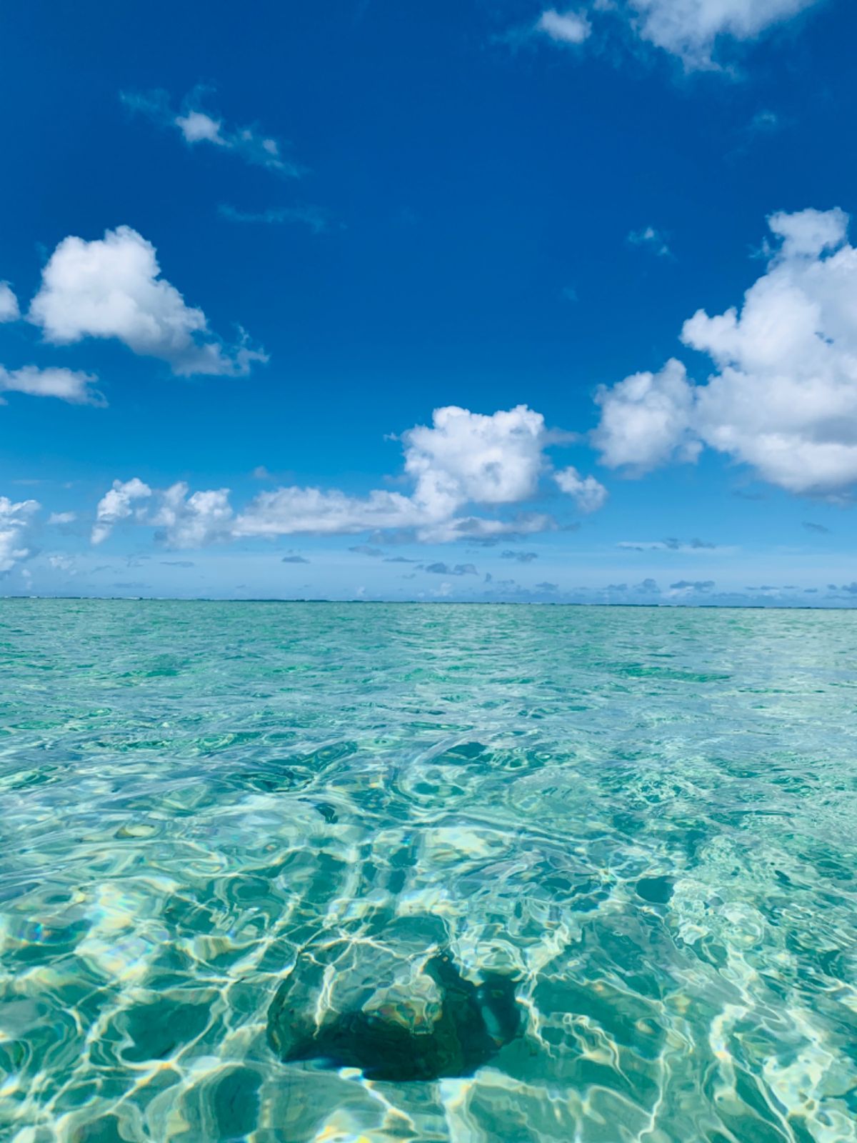 グアムオーシャンパークでマリンアクティビティーを楽しむ🐠
中心街からはちょ...