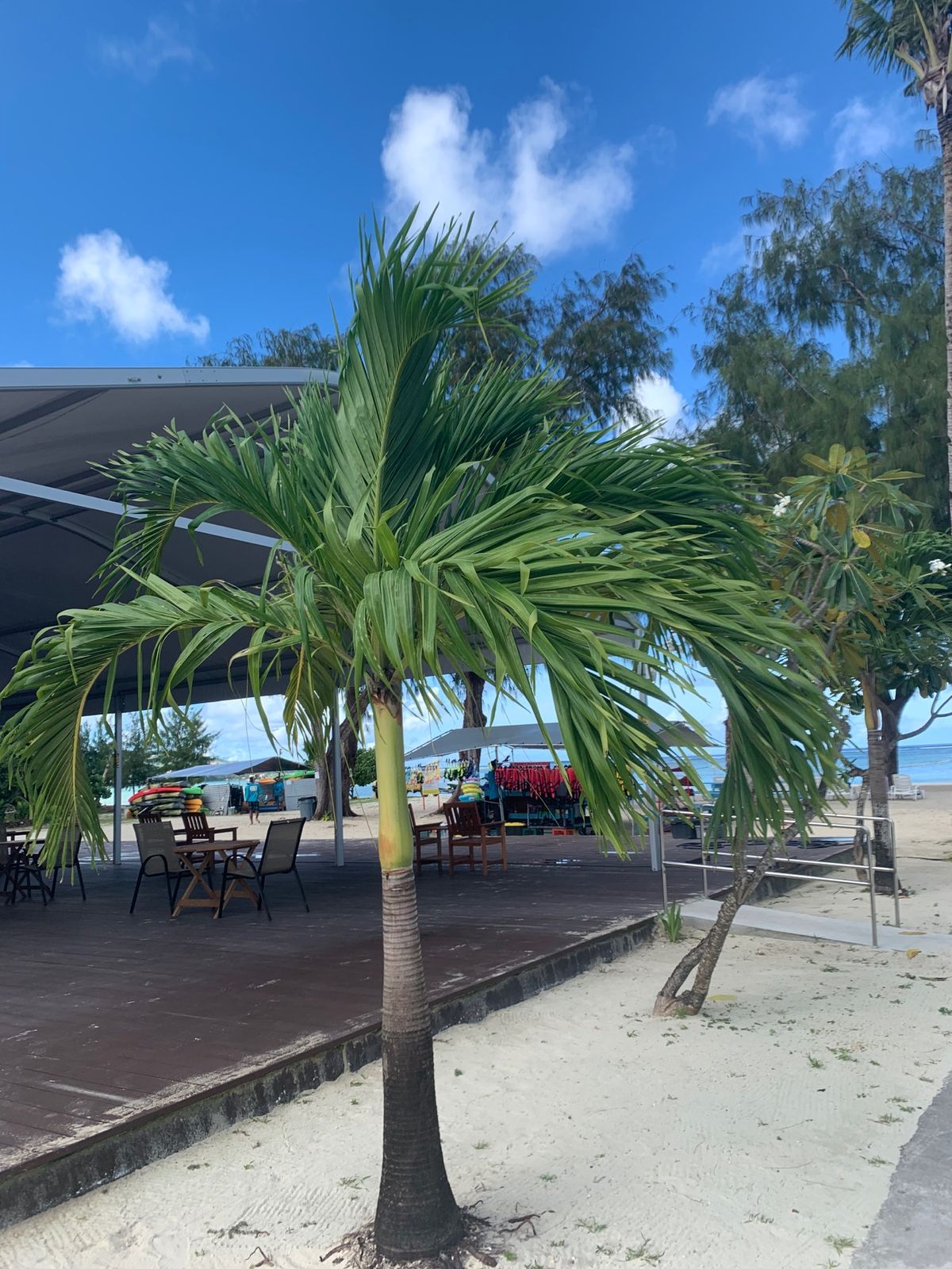 グアムオーシャンパークでマリンアクティビティーを楽しむ🐠
中心街からはちょ...