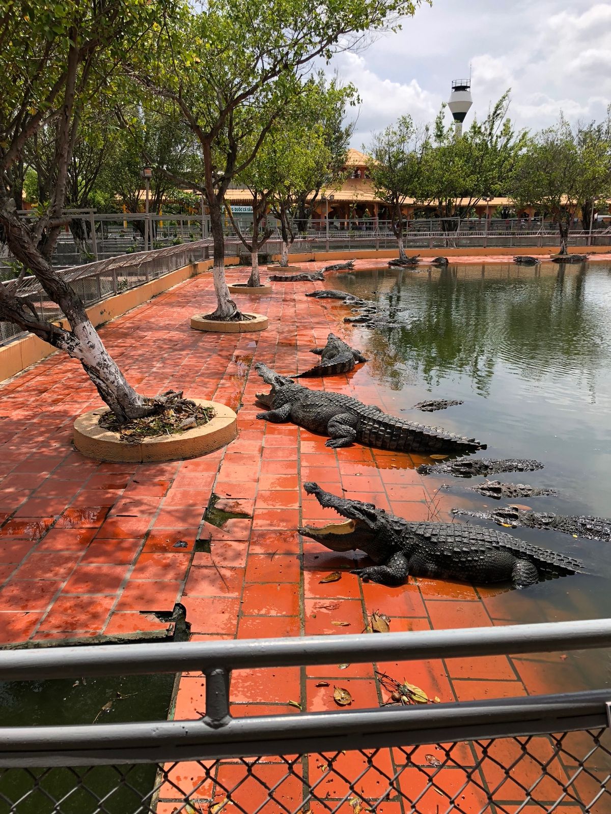 スイティエン公園🎢