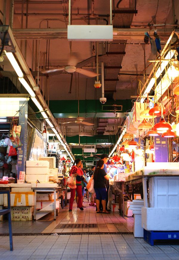 香港・香港「2017年香港」の写真：九龍城から尖沙咀へ。バスの車窓から見る信...