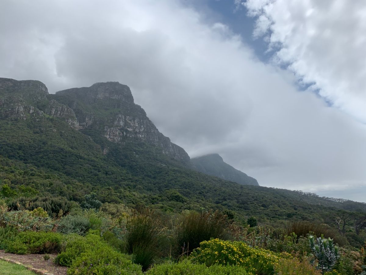 Hiking at the Table Mountain