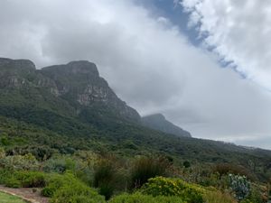 Hiking at the Table Mountain