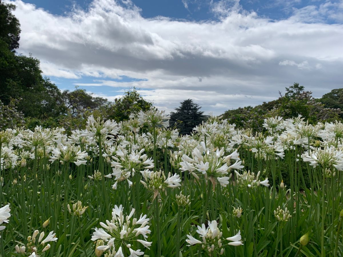 Hiking at the Table Mountain