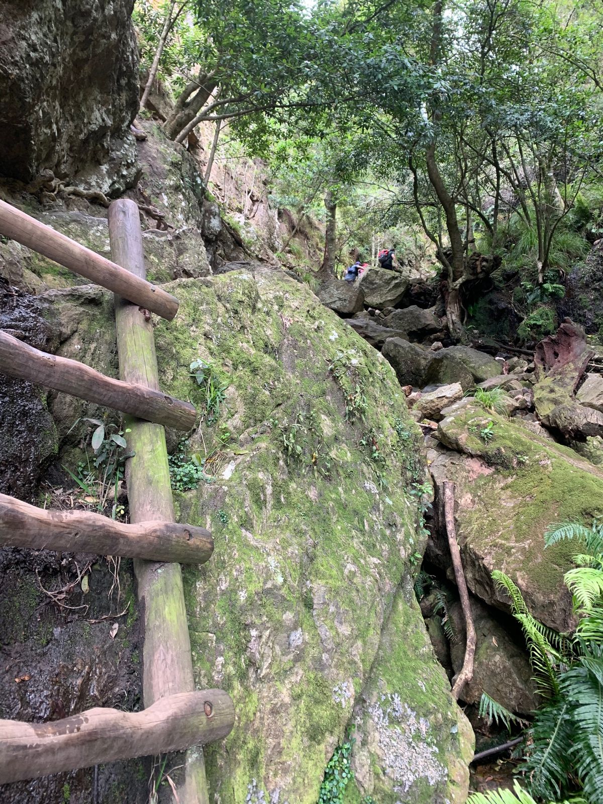 Hiking at the Table Mountain