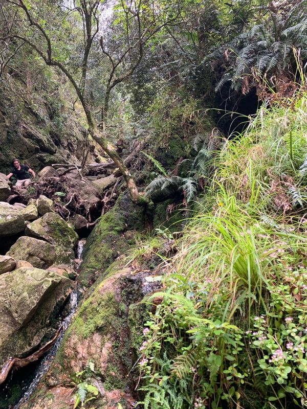 南アフリカ・capetown「Capetown」の写真：Hiking at the Table ...