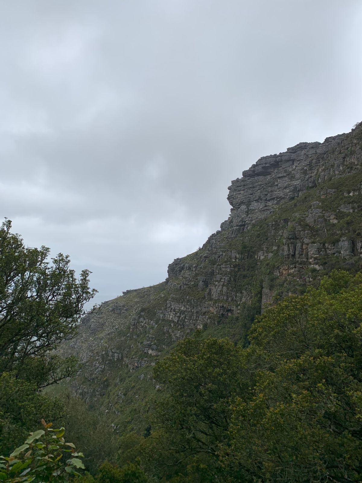 Hiking at the Table Mountain