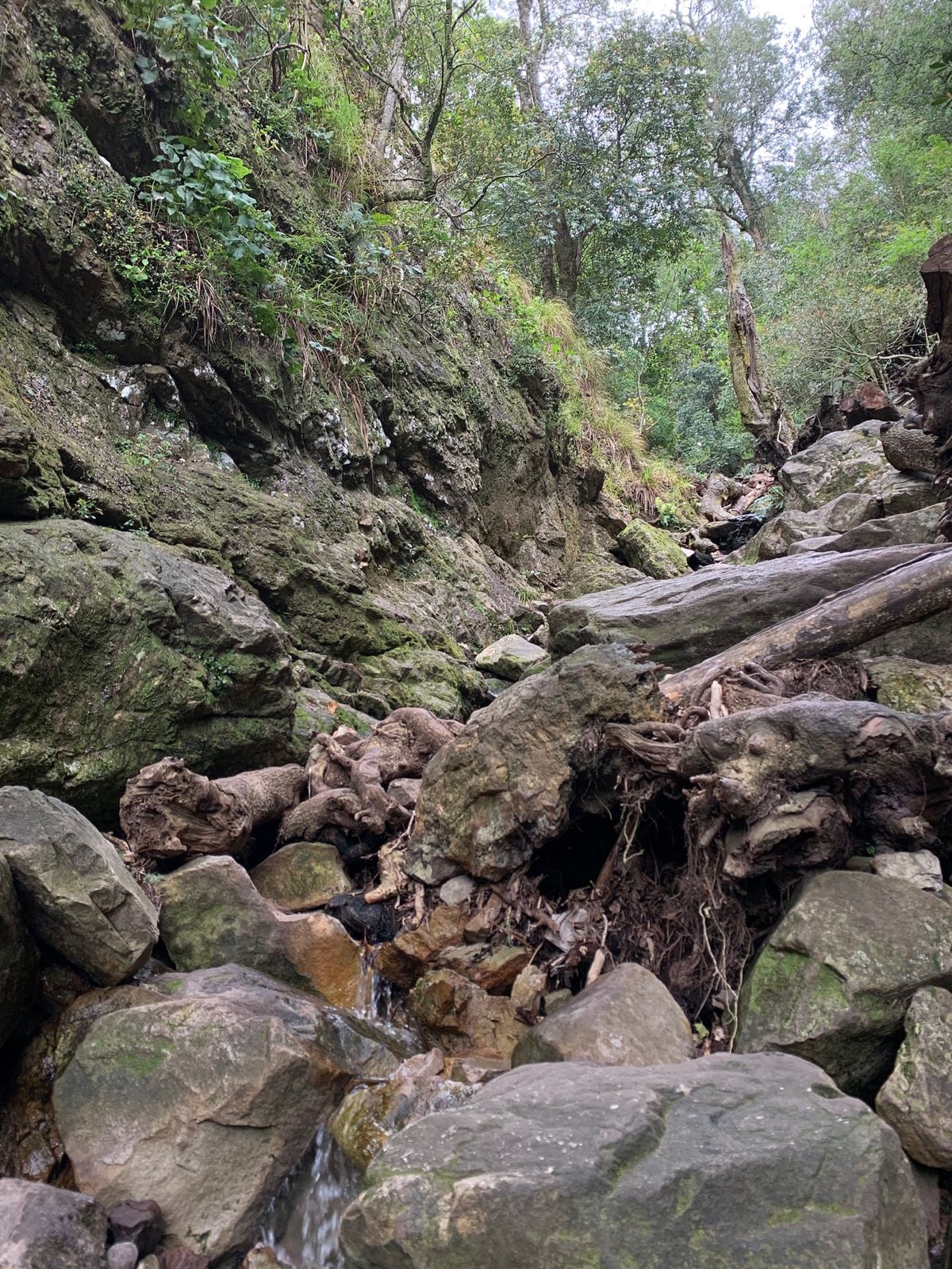 Hiking at the Table Mountain