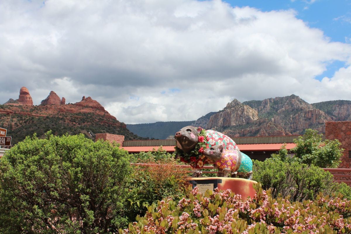 また行きたい！！