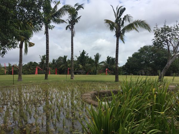 インドネシア・バリ島「バリ島癒され旅」の写真：おもてなし最高でした。5時間スパもまたや...
