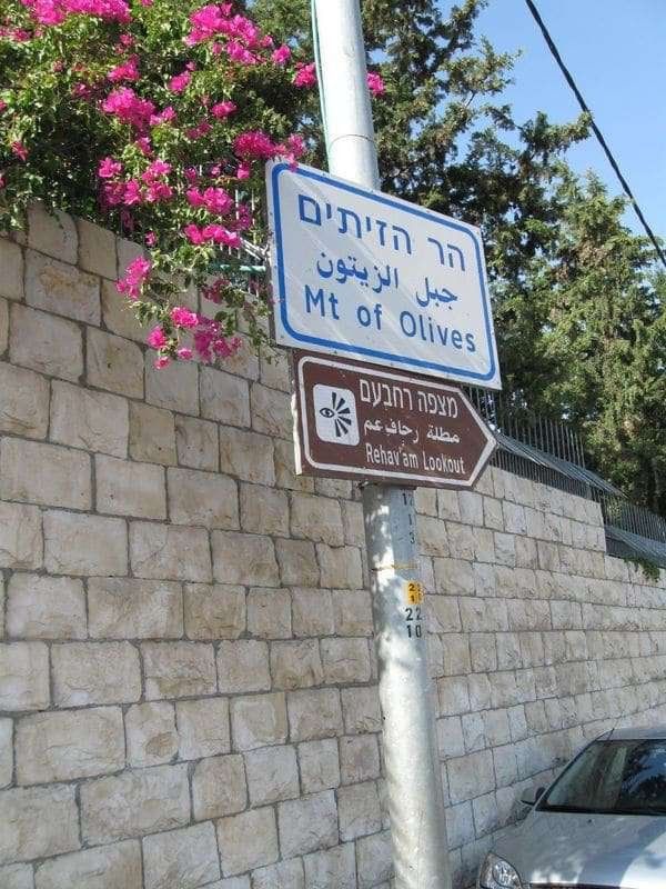 イスラエル・エルサレム「2010年 イスラエル　エルサレム　ベツレヘム分離壁」の写真：Mt of Olivesへ