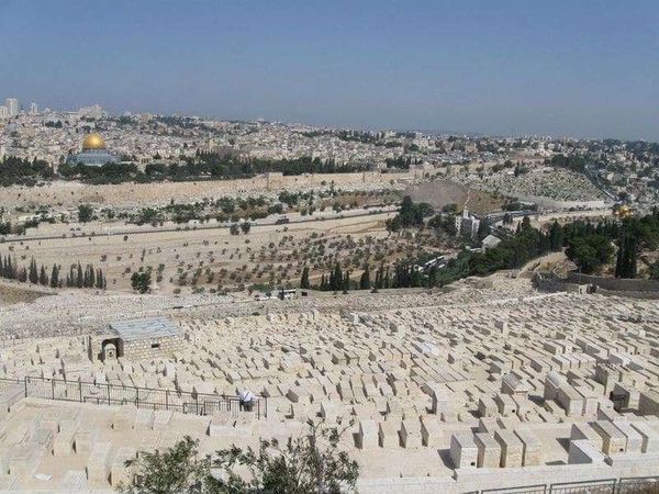 イスラエル・エルサレム「2010年 イスラエル　エルサレム　ベツレヘム分離壁」の写真：Mt. Oliveから旧市街を望む