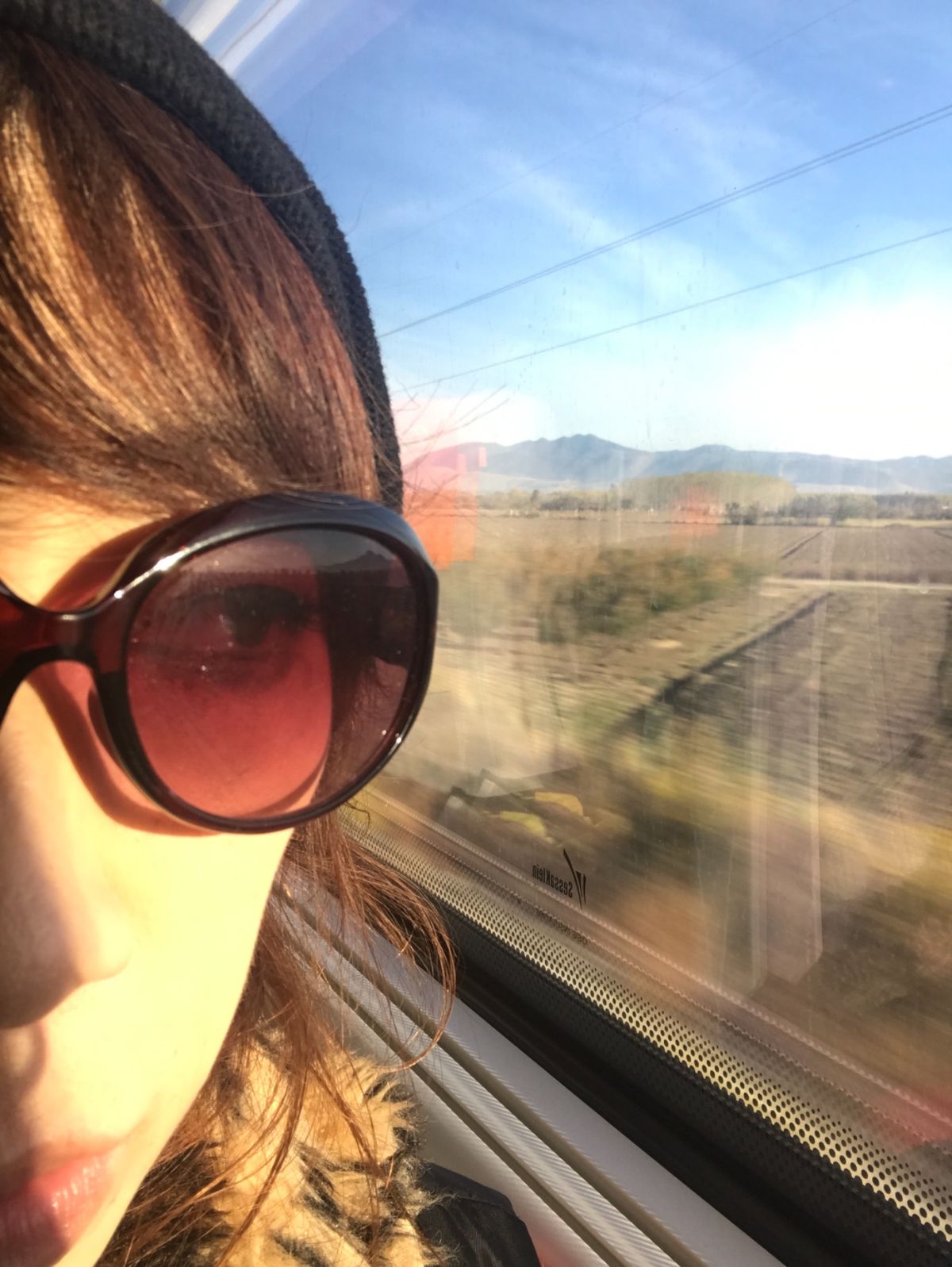 フレッチャロッサ（長距離列車）にて、テルミニ駅からナポリへ。
ヨーロッパ...