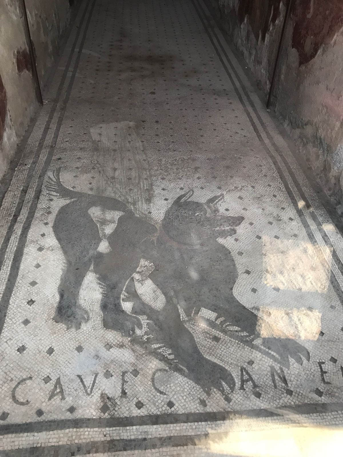 ポンペイ遺跡
2000年前に火山の噴火で一瞬にして消滅した都市。
高い...