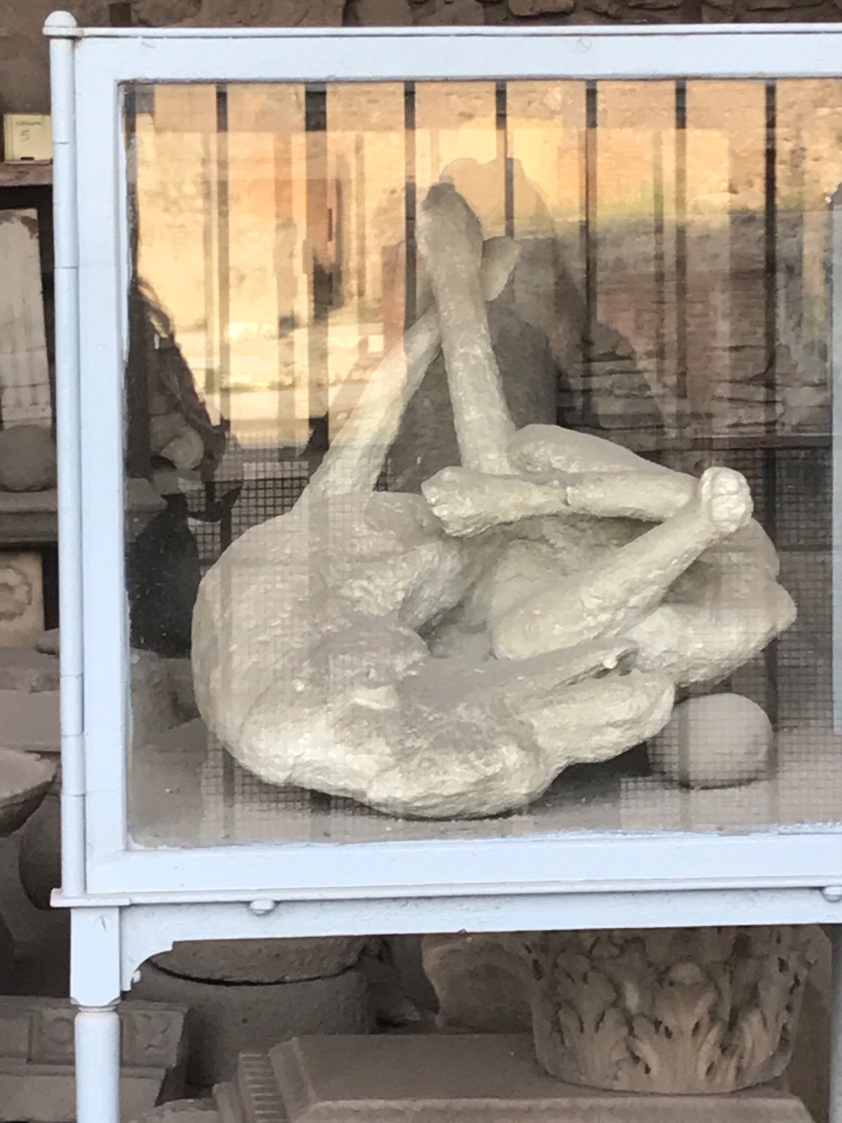 人も動物も一瞬で飲み込まれてしまった…